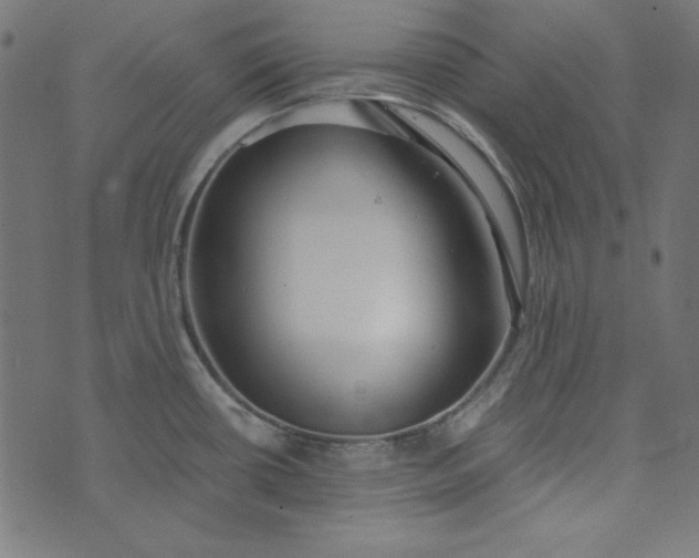 X0000073721434200608171152