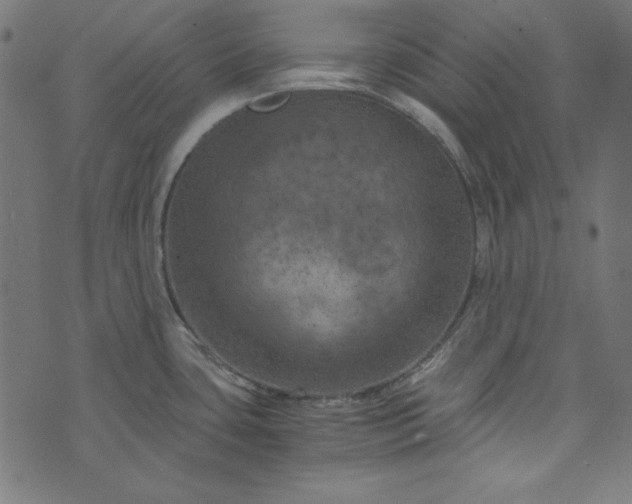 X0000073721435200608171152