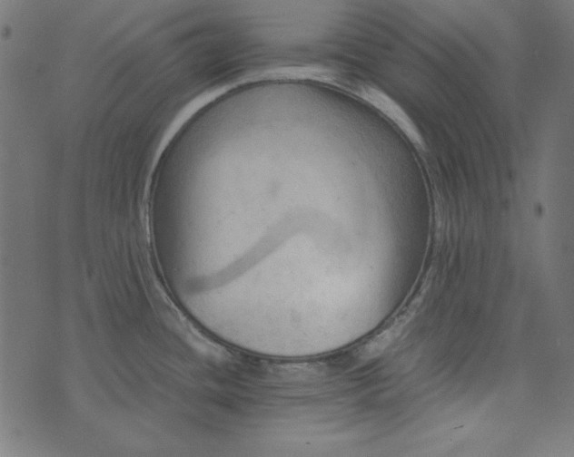 X0000073721436200608171152