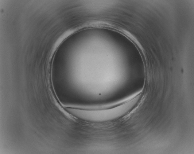 X0000073721437200608171152