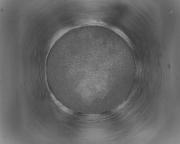 X0000073721439200608171152