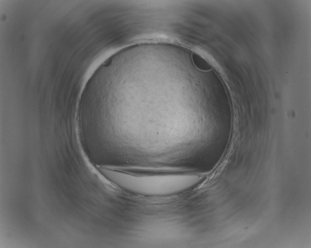 X0000073721440200608171152