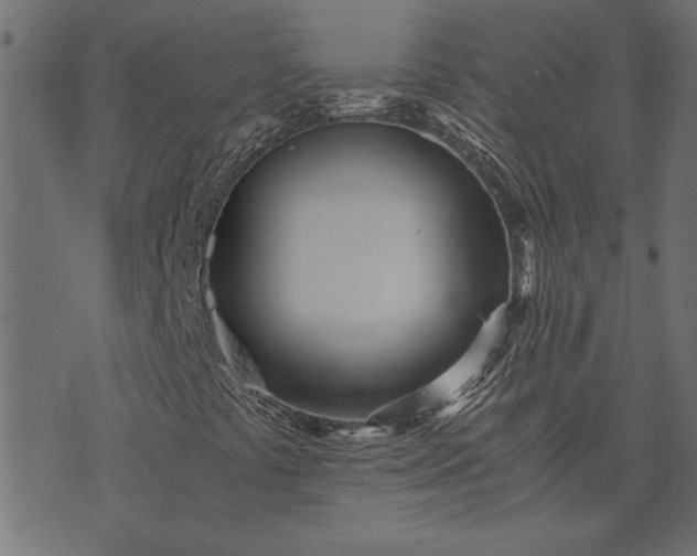 X0000073721441200608171151