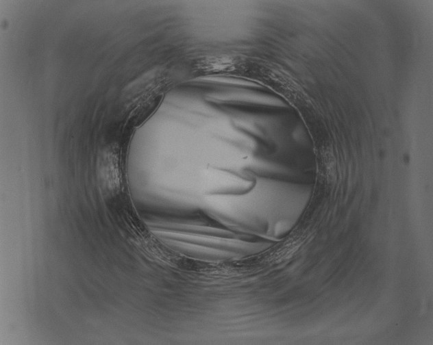 X0000073721442200608171151