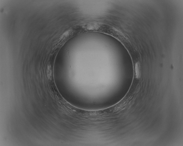 X0000073721443200608171151