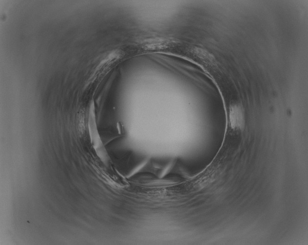 X0000073721444200608171151