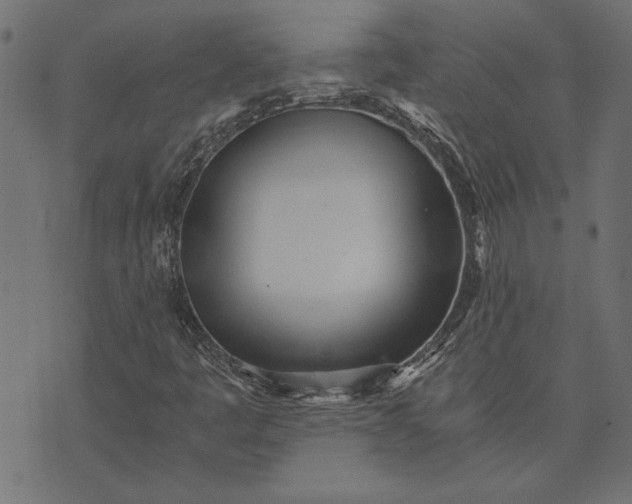 X0000073721445200608171151