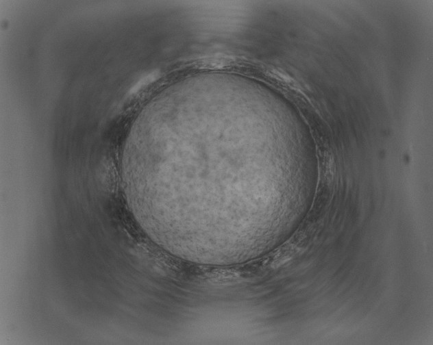 X0000073721446200608171151