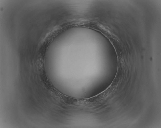 X0000073721447200608171151