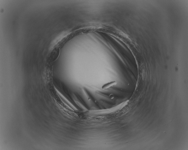 X0000073721448200608171151