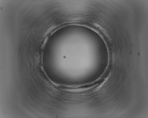 X0000073721449200608171151