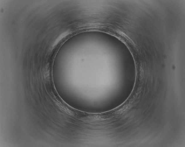 X0000073721450200608171151