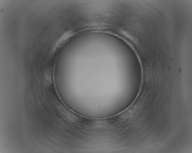 X0000073721451200608171151