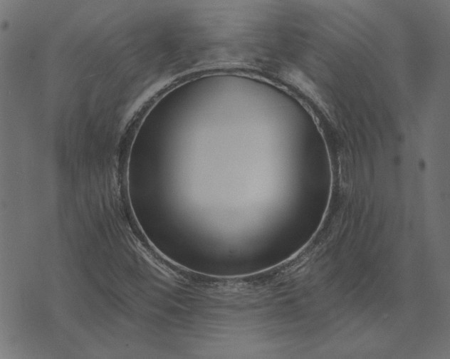 X0000073721452200608171151