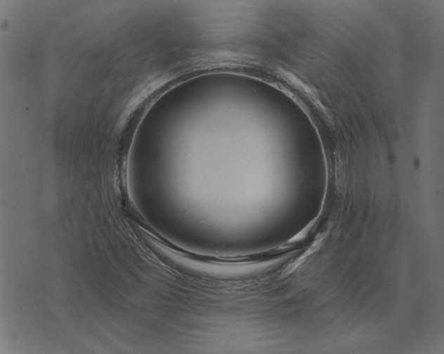 X0000073721453200608171151