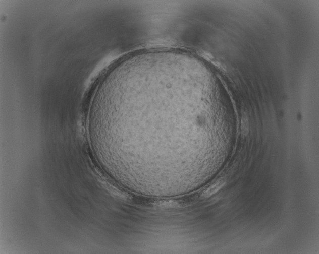 X0000073721454200608171151