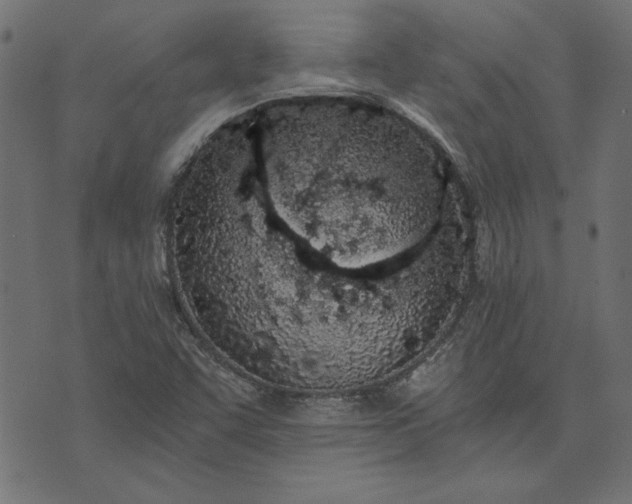 X0000073721455200608171151