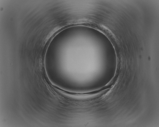 X0000073721457200608171151