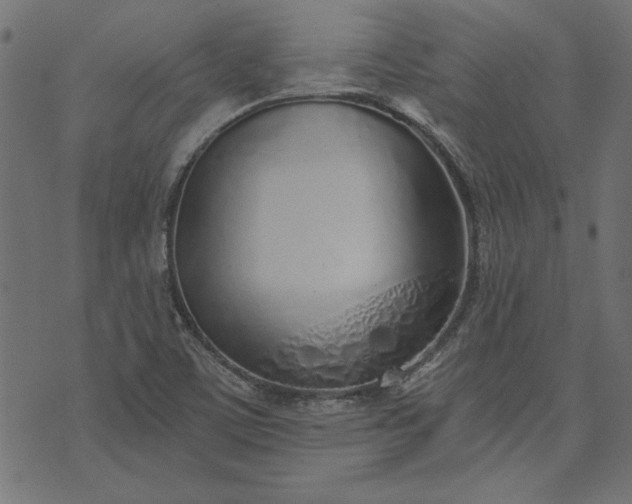 X0000073721459200608171151