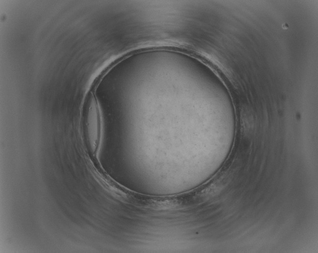 X0000073721460200608171151