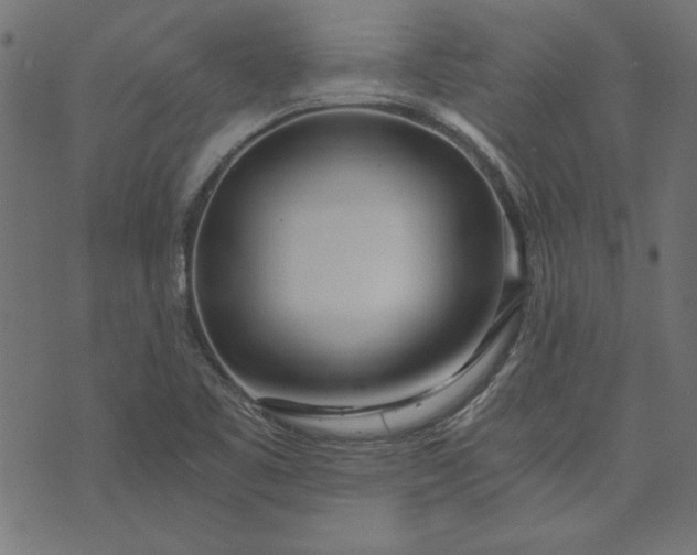 X0000073721461200608171151