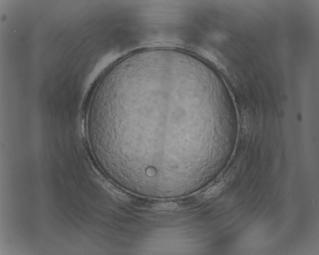 X0000073721462200608171151