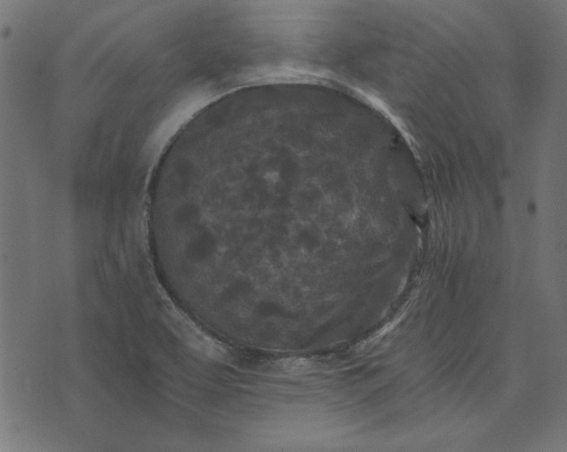 X0000073721463200608171151