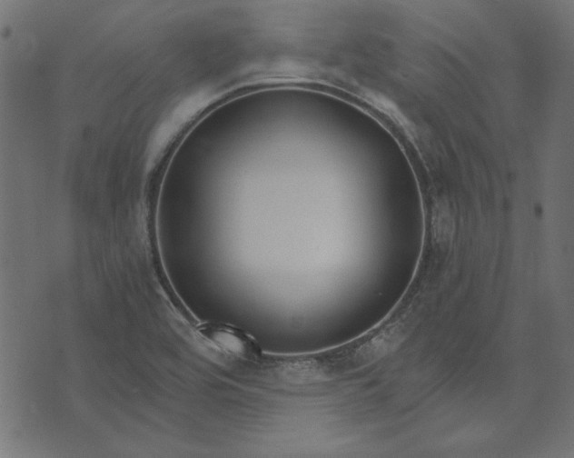 X0000073721464200608171151