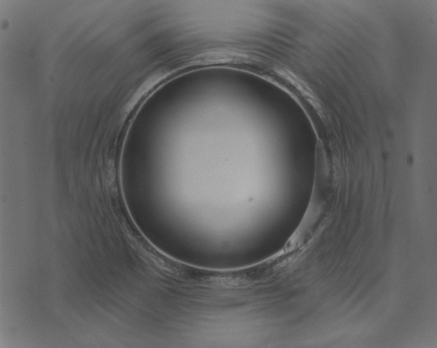 X0000073721465200608171151