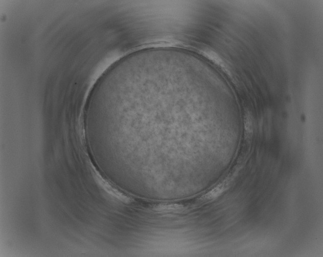 X0000073721466200608171151