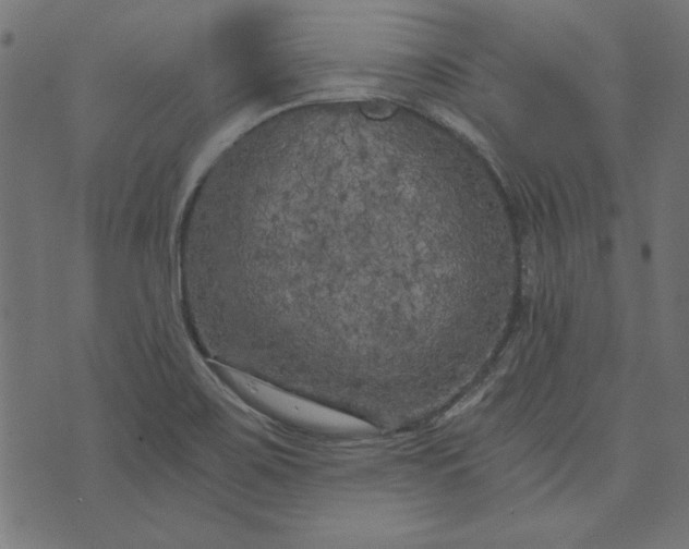 X0000073721467200608171151