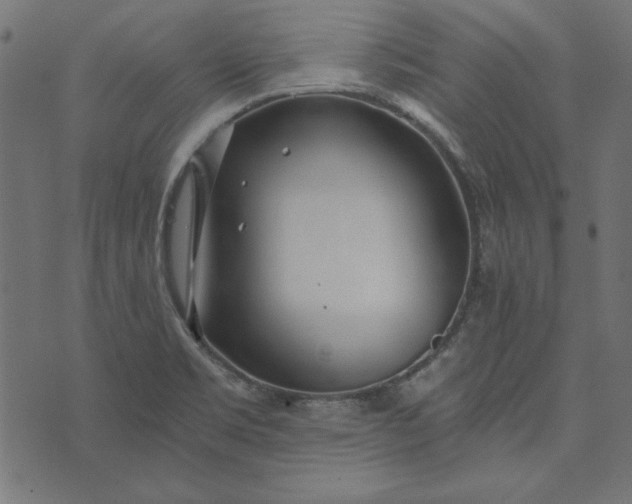 X0000073721469200608171151