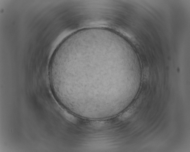 X0000073721470200608171151