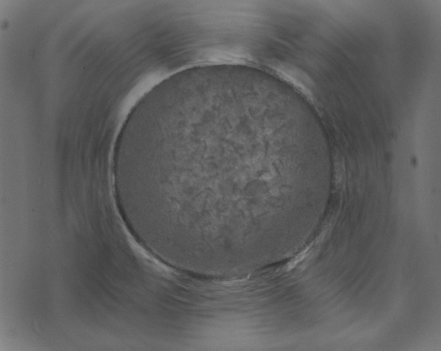 X0000073721471200608171151