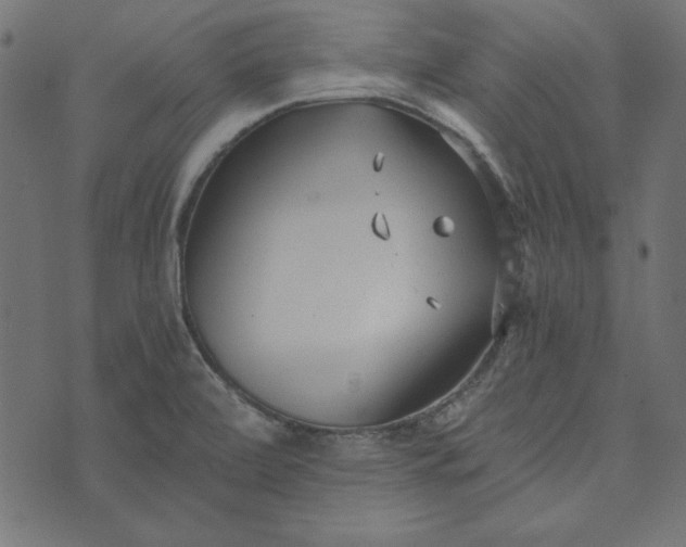 X0000073721472200608171151