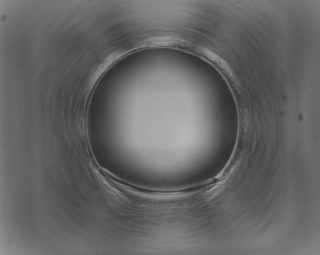 X0000073721473200608171151