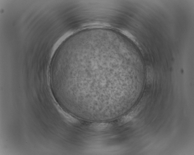 X0000073721474200608171151