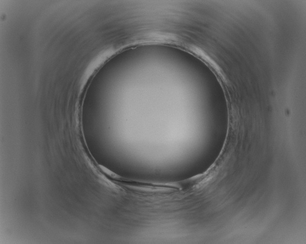 X0000073721477200608171151