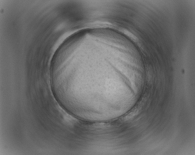 X0000073721478200608171151