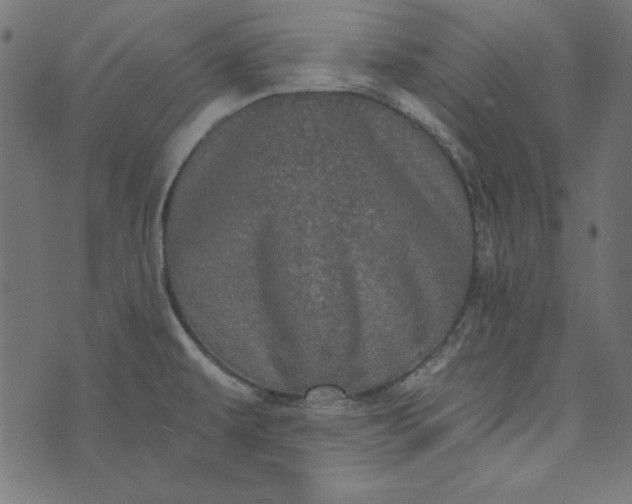 X0000073721479200608171151