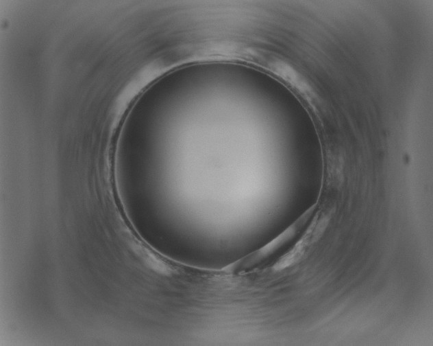 X0000073721480200608171151