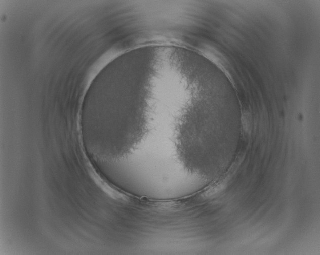 X0000073721482200608171151