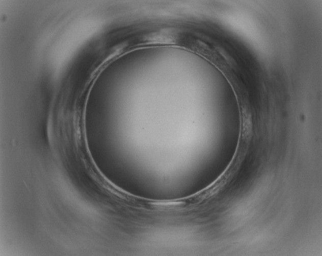 X0000073721487200608171151