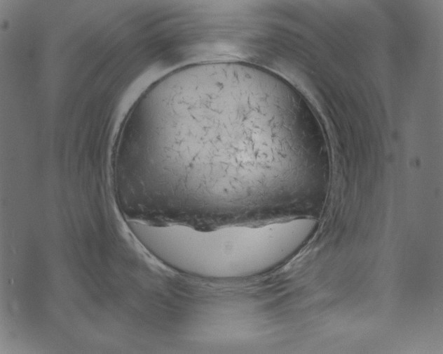 X0000073721488200608171151