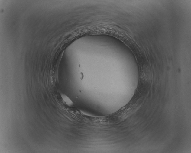 X0000073721490200608171150