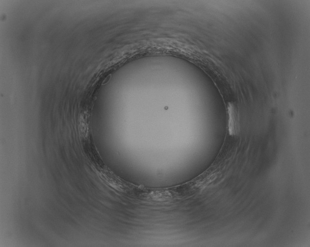 X0000073721491200608171150