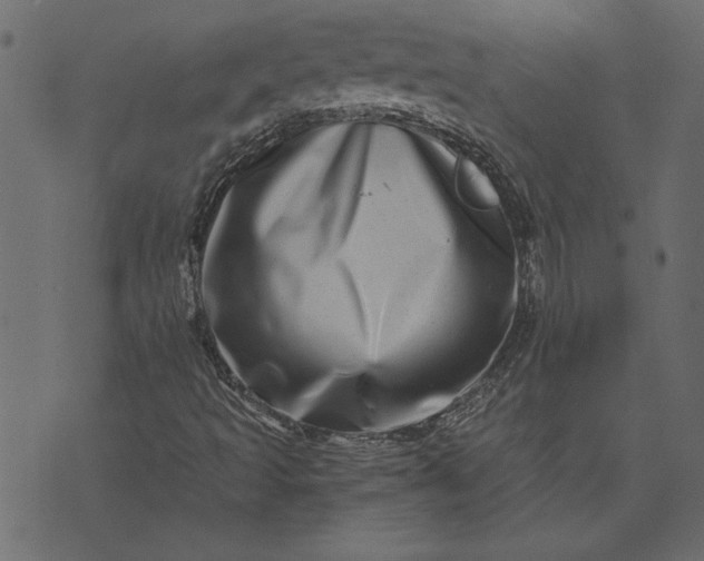 X0000073721493200608171150