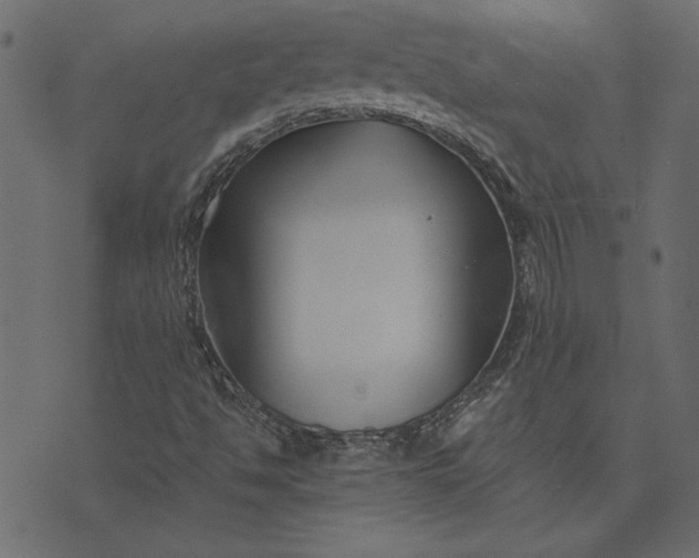 X0000073721494200608171150