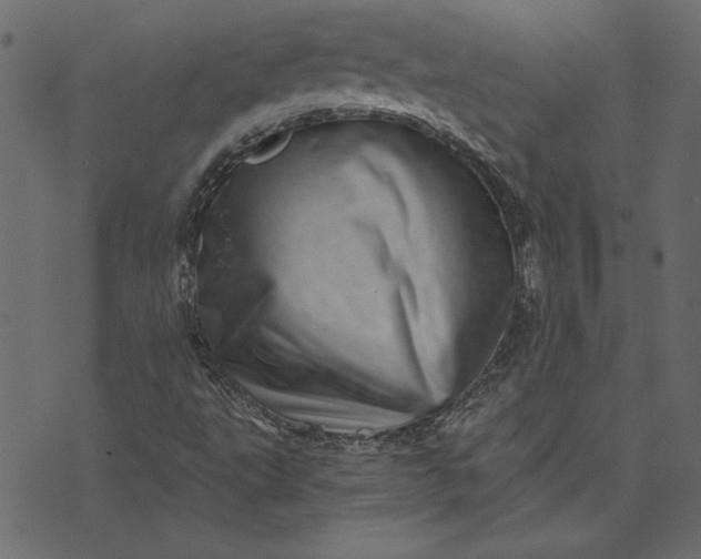 X0000073721495200608171150