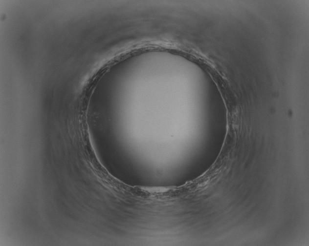 X0000073721496200608171150